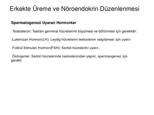 Cinsel hormonlar: prolaktin, progesteron, LH, FSH Cinsel hormonlar: prolaktin, progesteron, LH, FSH